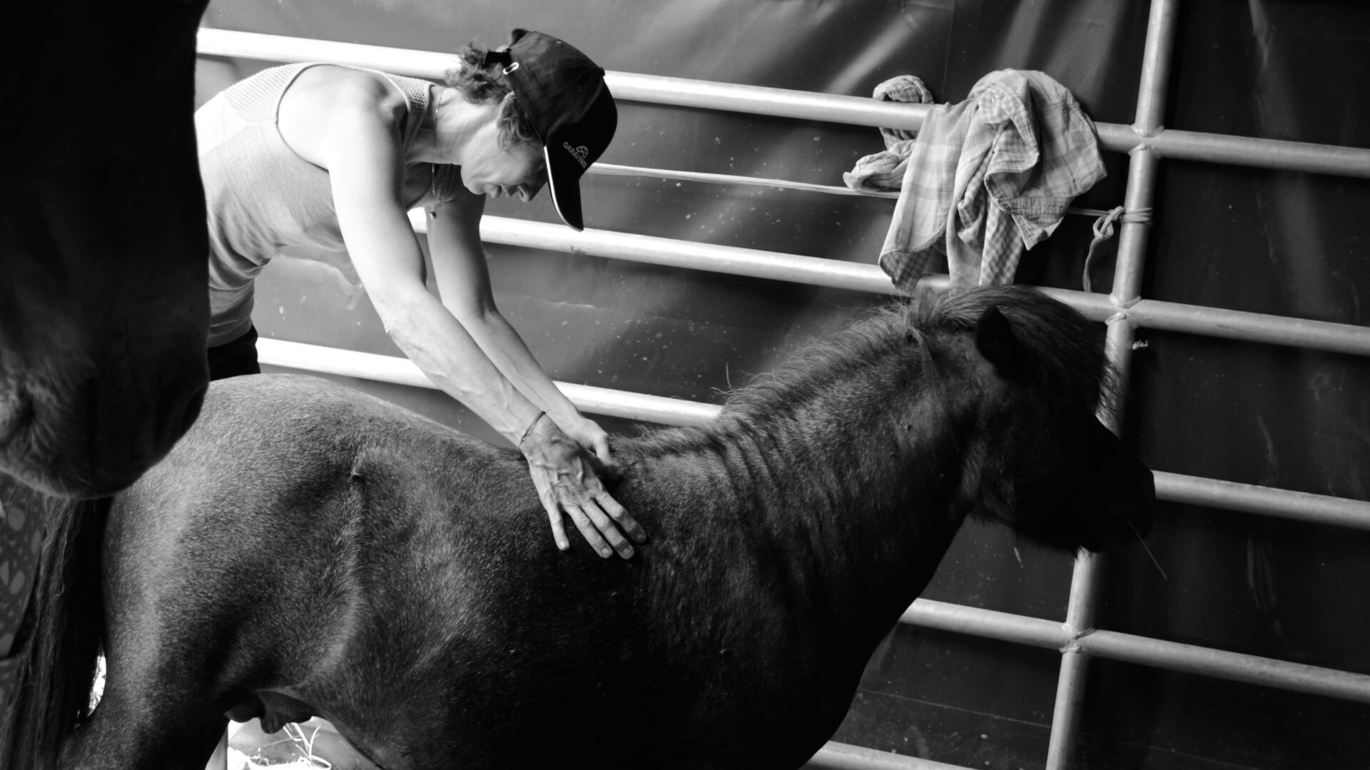 Shiatsu Equin
