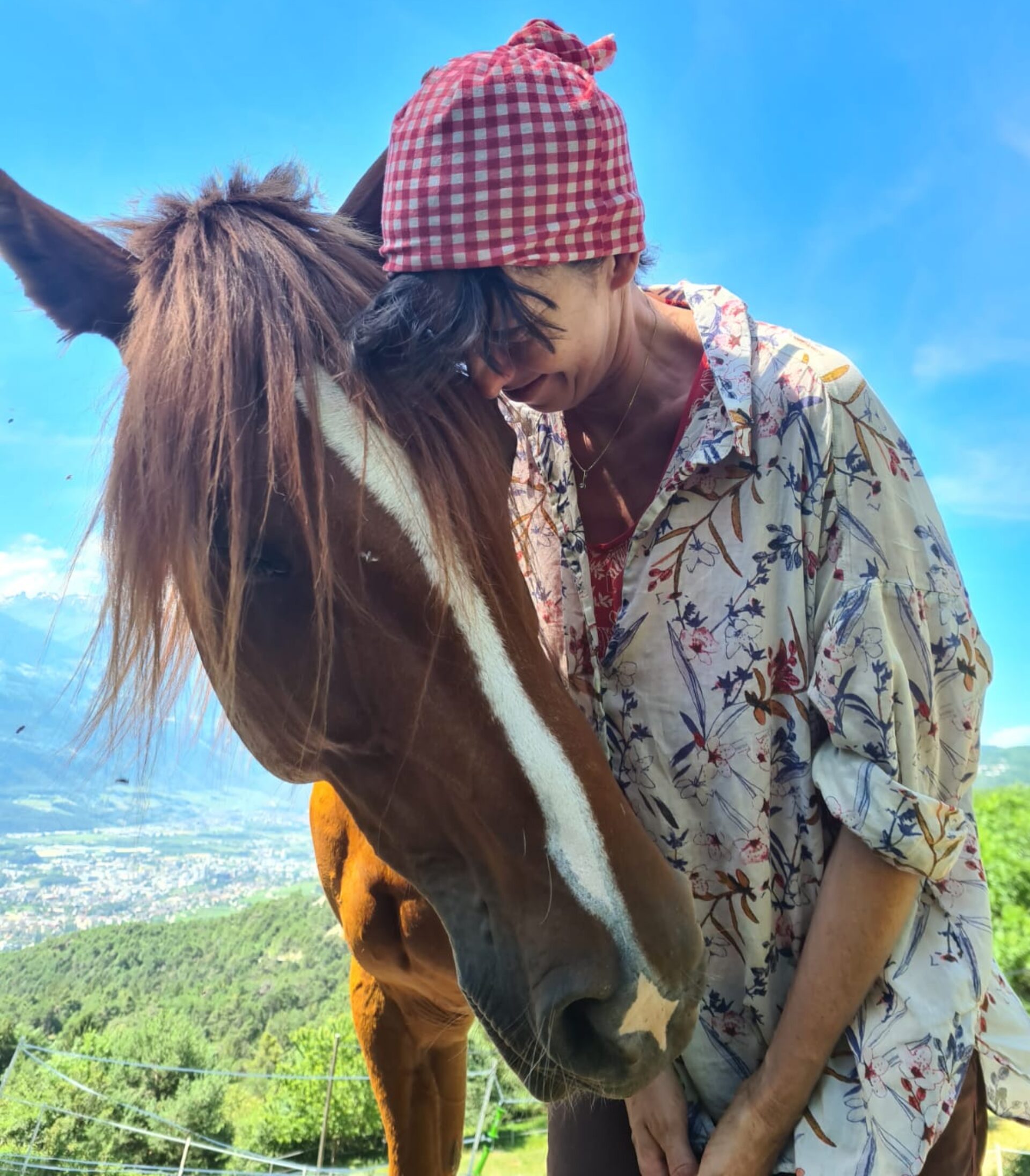Shiatsu Equin